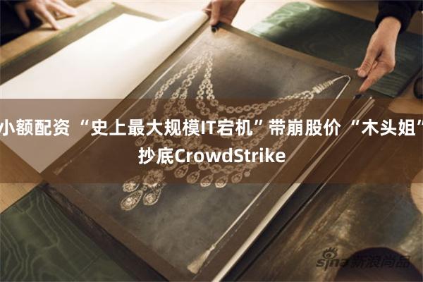 小额配资 “史上最大规模IT宕机”带崩股价 “木头姐”抄底CrowdStrike