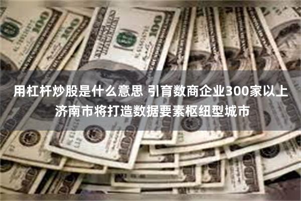 用杠杆炒股是什么意思 引育数商企业300家以上 济南市将打造数据要素枢纽型城市