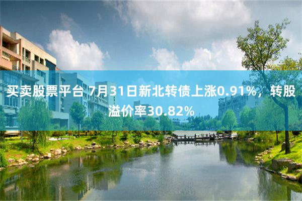 买卖股票平台 7月31日新北转债上涨0.91%，转股溢价率30.82%