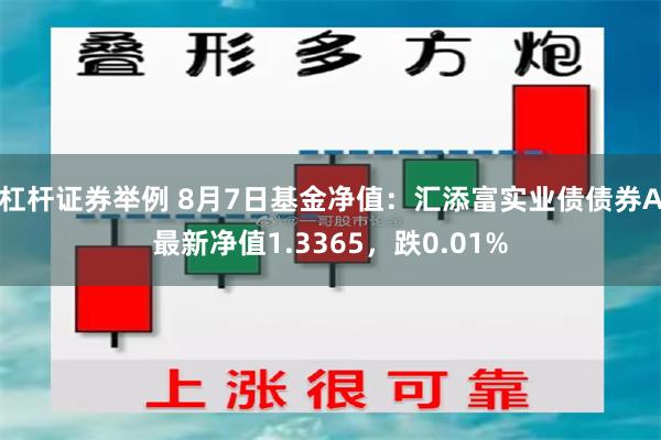 杠杆证券举例 8月7日基金净值：汇添富实业债债券A最新净值1.3365，跌0.01%