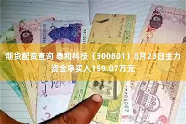 期货配资查询 泰和科技（300801）8月23日主力资金净买入159.07万元