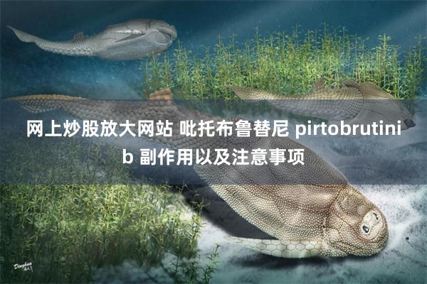 网上炒股放大网站 吡托布鲁替尼 pirtobrutinib 副作用以及注意事项