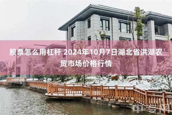 股票怎么用杠杆 2024年10月7日湖北省洪湖农贸市场价格行情