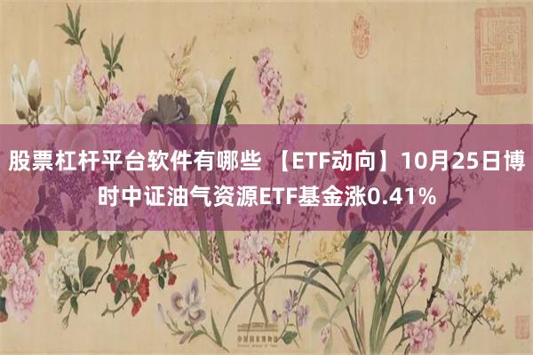 股票杠杆平台软件有哪些 【ETF动向】10月25日博时中证油气资源ETF基金涨0.41%