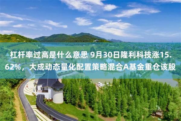 杠杆率过高是什么意思 9月30日隆利科技涨15.62%，大成动态量化配置策略混合A基金重仓该股