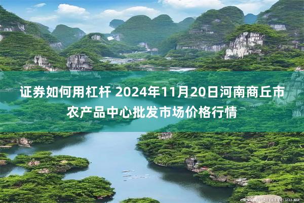 证券如何用杠杆 2024年11月20日河南商丘市农产品中心批发市场价格行情