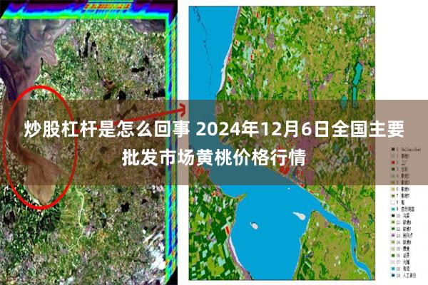 炒股杠杆是怎么回事 2024年12月6日全国主要批发市场黄桃价格行情