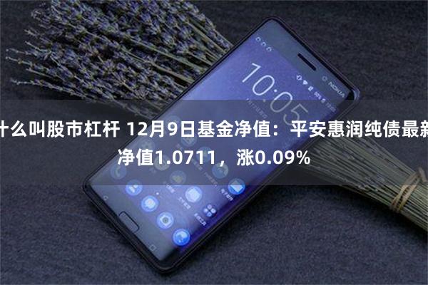 什么叫股市杠杆 12月9日基金净值：平安惠润纯债最新净值1.0711，涨0.09%