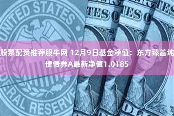 股票配资推荐股牛网 12月9日基金净值：东方臻善纯债债券A最新净值1.0185