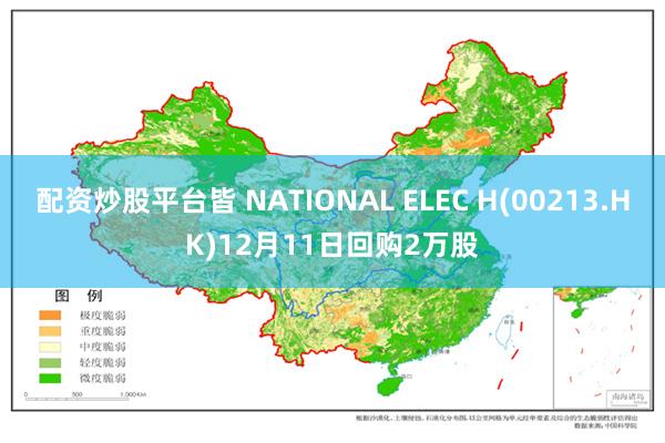 配资炒股平台皆 NATIONAL ELEC H(00213.HK)12月11日回购2万股